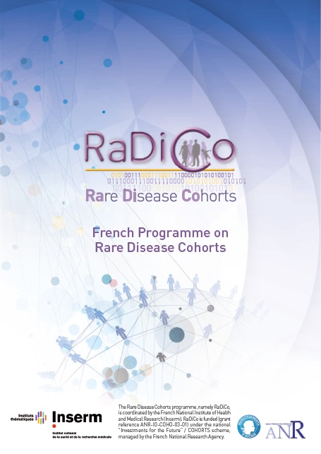 Leaflet presentation RaDiCo ENG